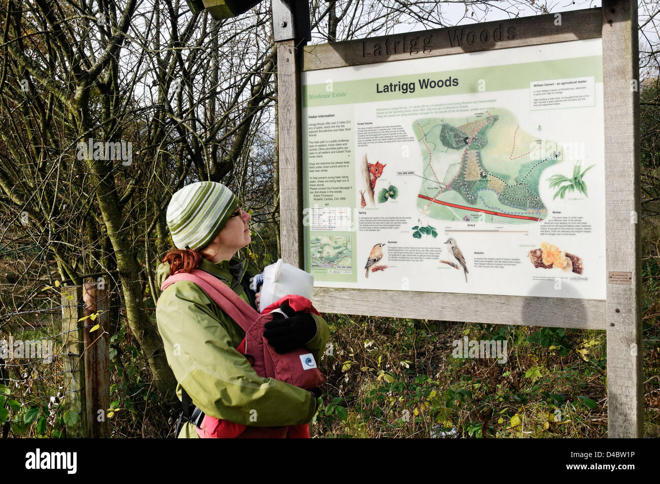 A woman carrying a baby in a baby carrier reading the information board for Latrigg Woods, Lake District Stock Photo