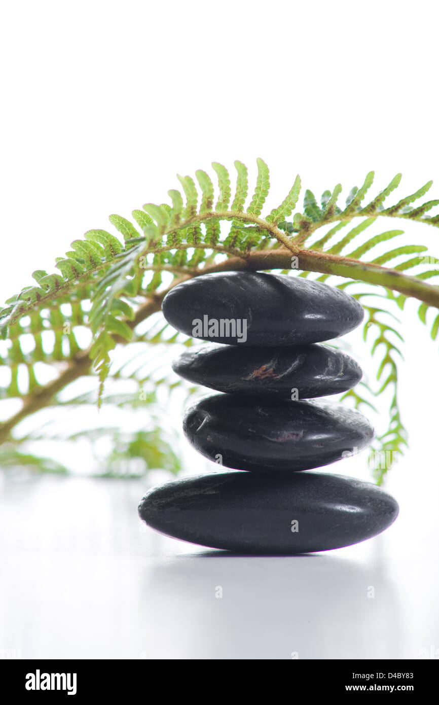 Zen stones with a fern isolated on white Stock Photo