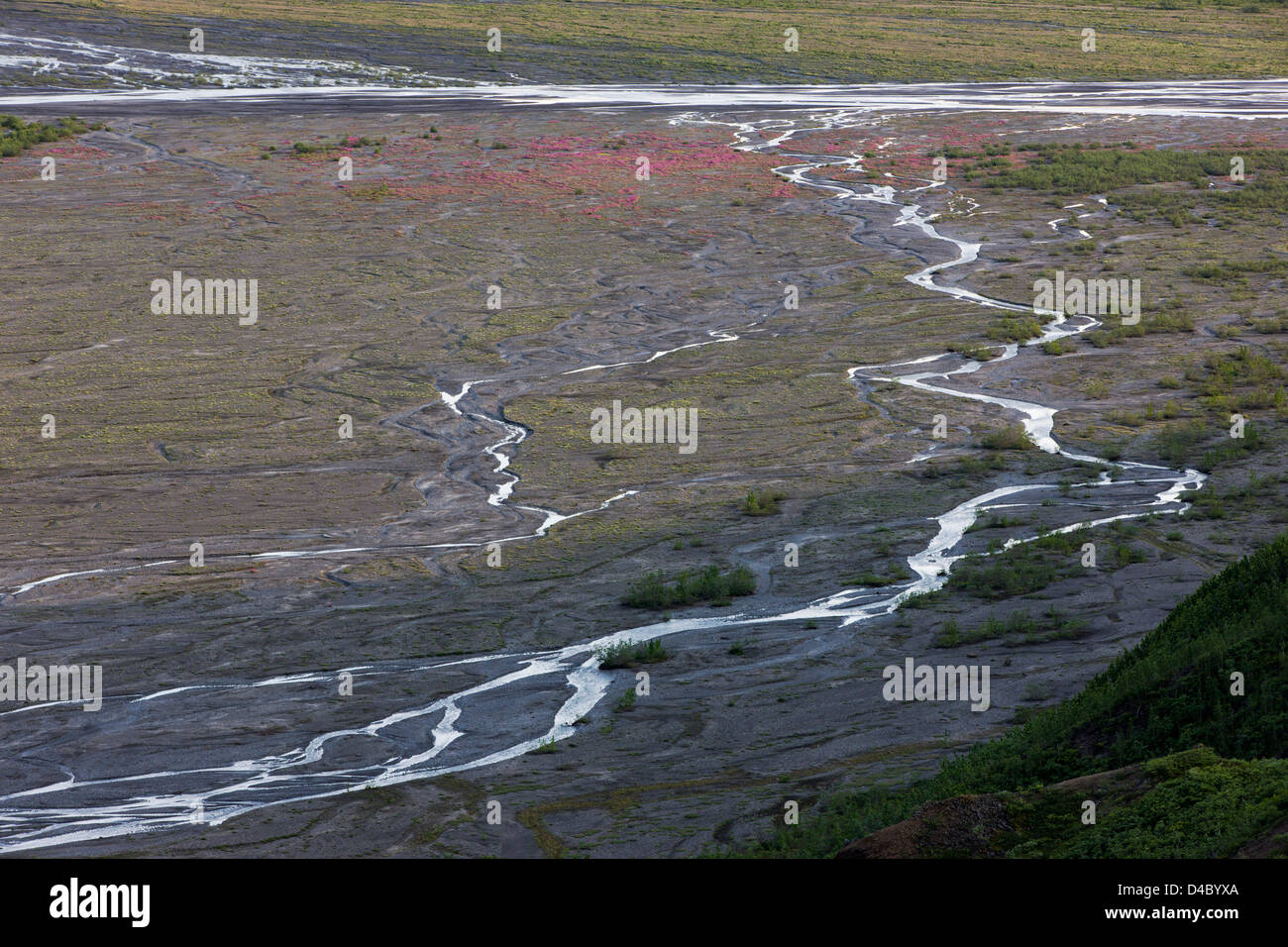 Braided rivers drain melting snow from the Alaska Range, Denali National Park, Alaska, USA Stock Photo