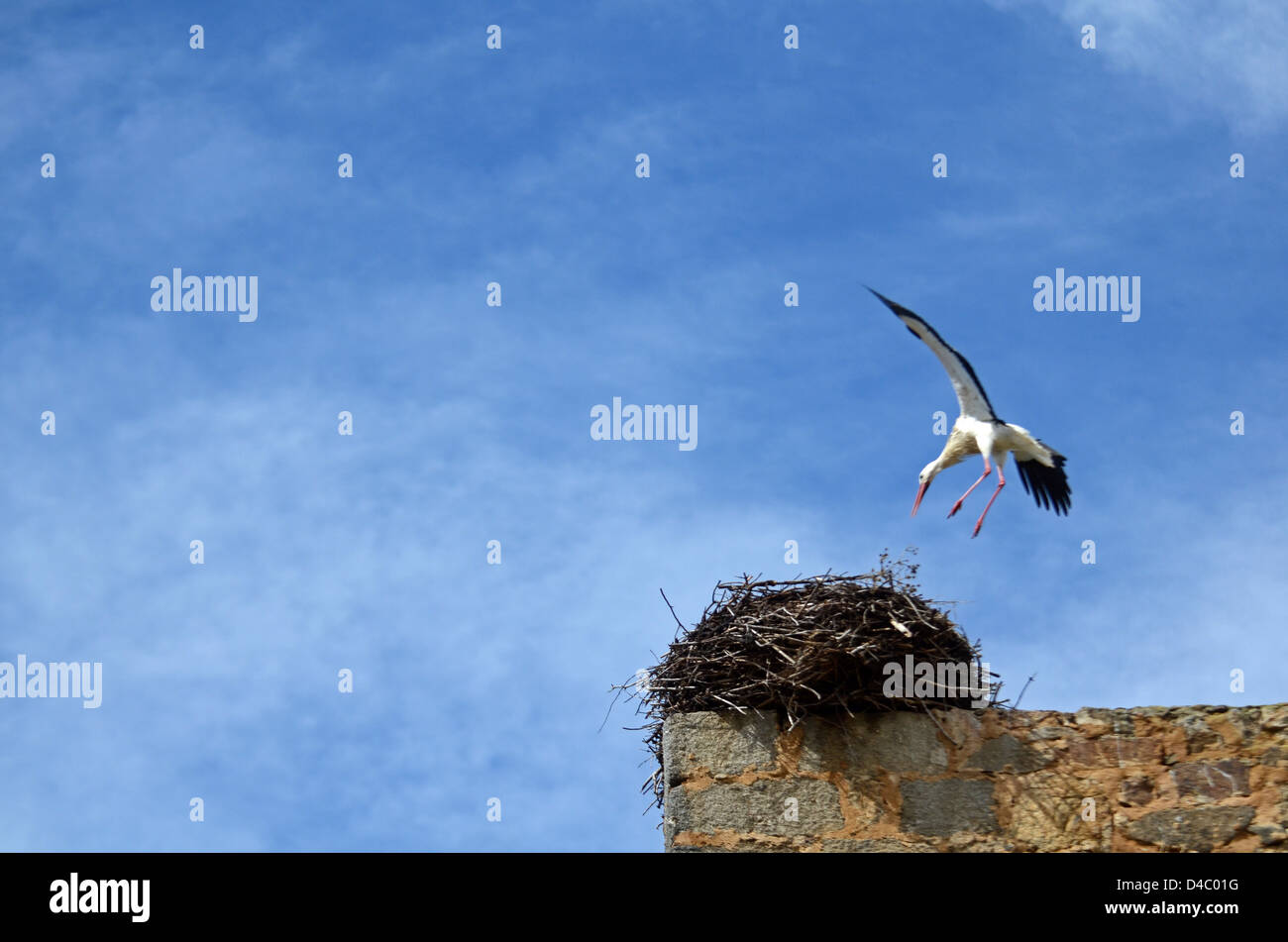 Storks have their nests on top of Valdecorneja Castle, from XII-XIV Century, El Barco de Avila, Spain. Stock Photo