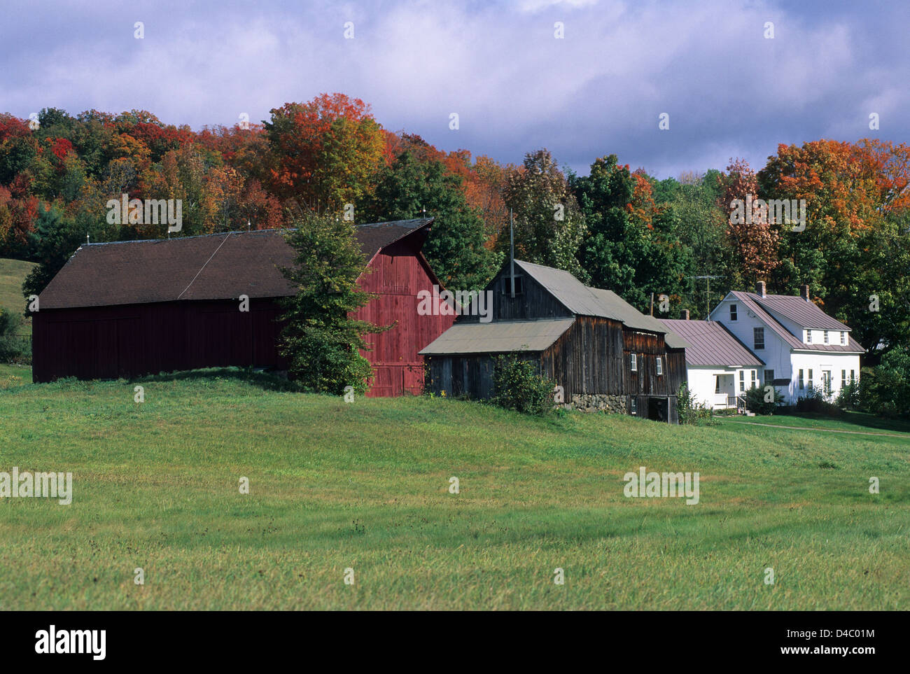 Elk280-1395 Vermont, South Woodstock, Jenne Farm, with autumn foliage Stock Photo