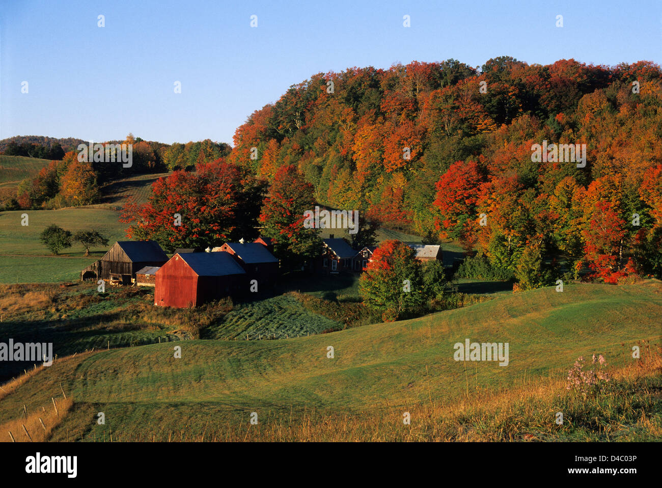 Elk280-1399 Vermont, South Woodstock, Jenne Farm, with autumn foliage Stock Photo