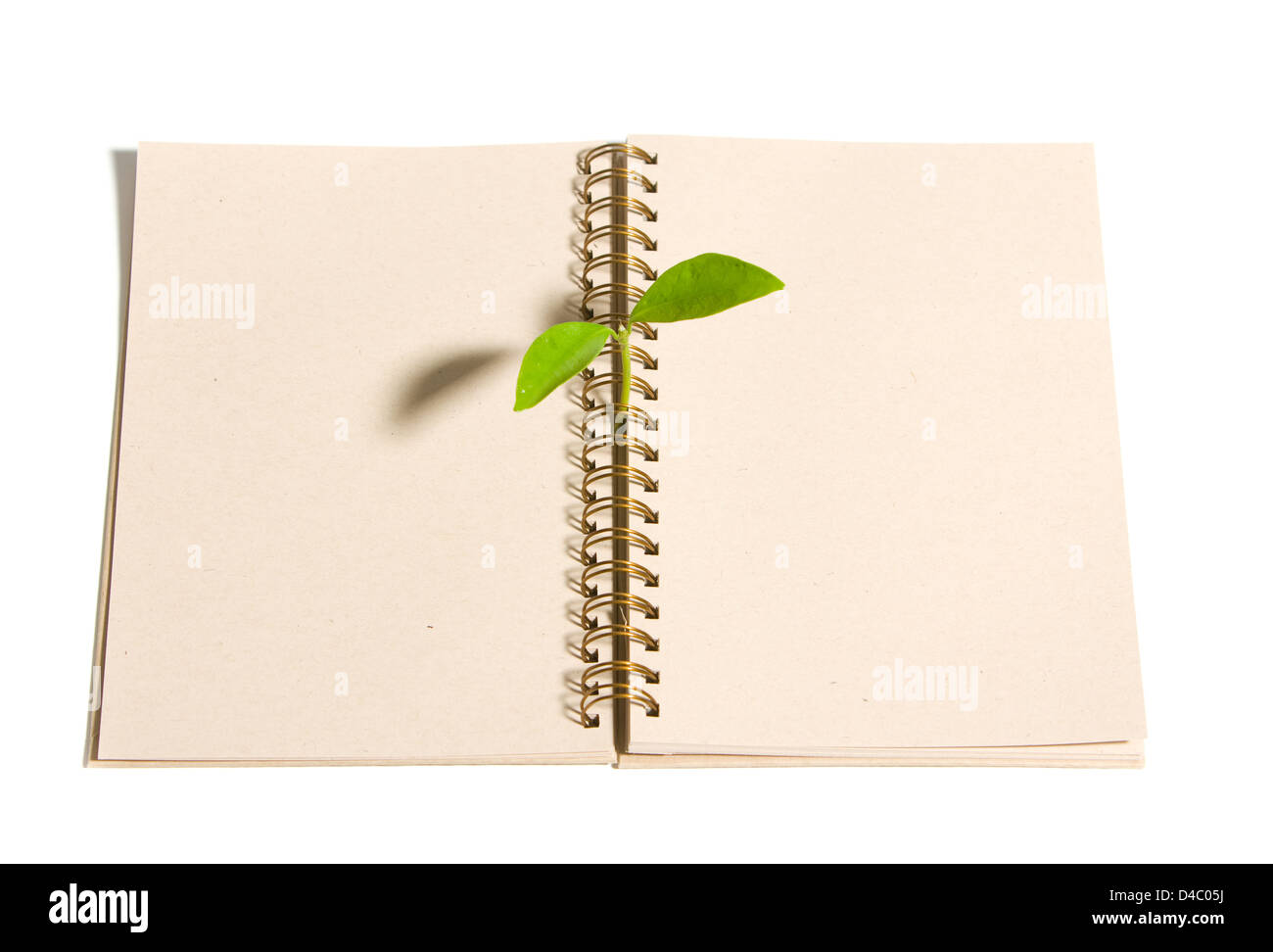 Green grass growing out Cut Out Stock Images Pictures Alamy