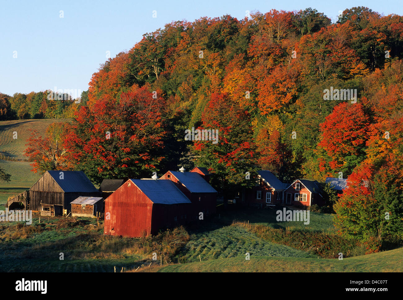 Elk280-1415 Vermont, South Woodstock, Jenne Farm, with autumn foliage Stock Photo