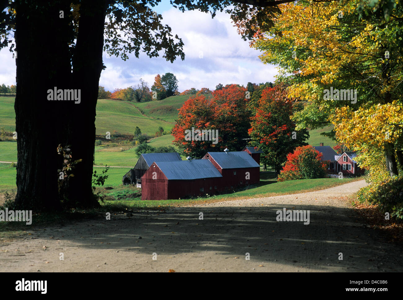 Elk280-1428 Vermont, South Woodstock, Jenne Farm, with autumn foliage Stock Photo