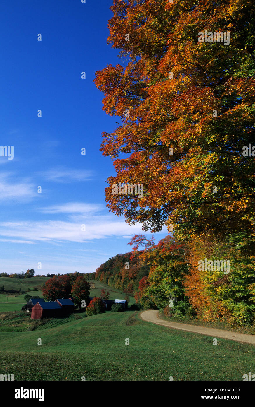 Elk280-1438v Vermont, South Woodstock, Jenne Farm, with autumn foliage Stock Photo