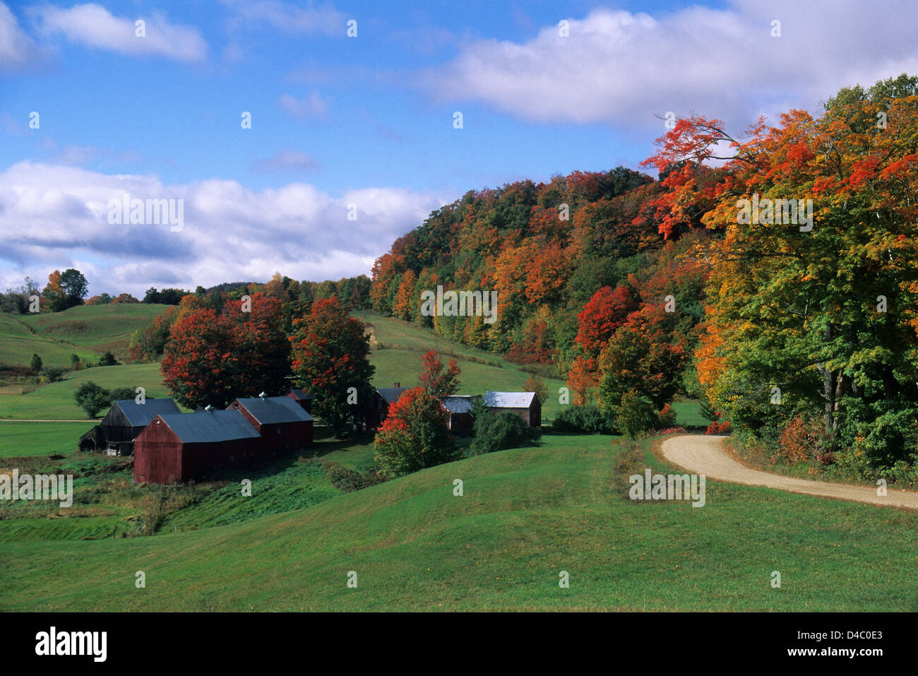 Elk280-1458 Vermont, South Woodstock, Jenne Farm, with autumn foliage Stock Photo