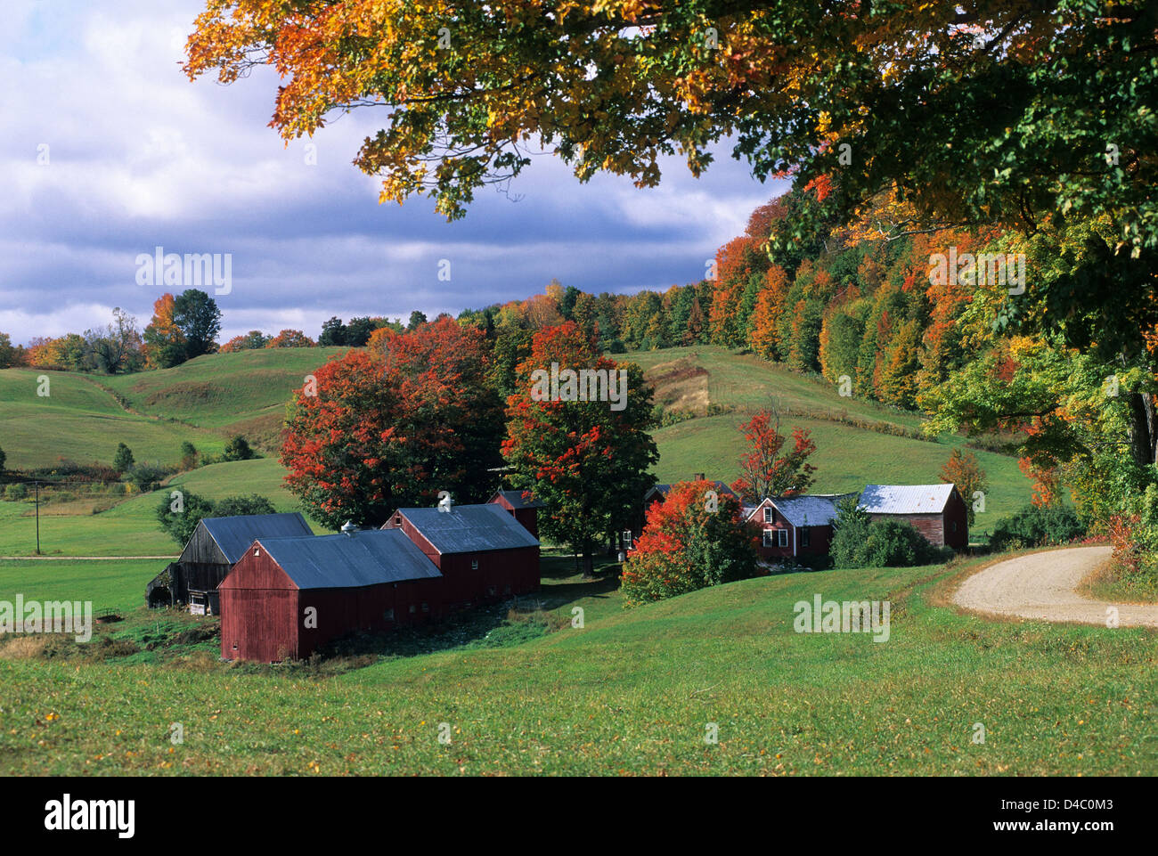 Elk280-1472 Vermont, South Woodstock, Jenne Farm, with autumn foliage Stock Photo