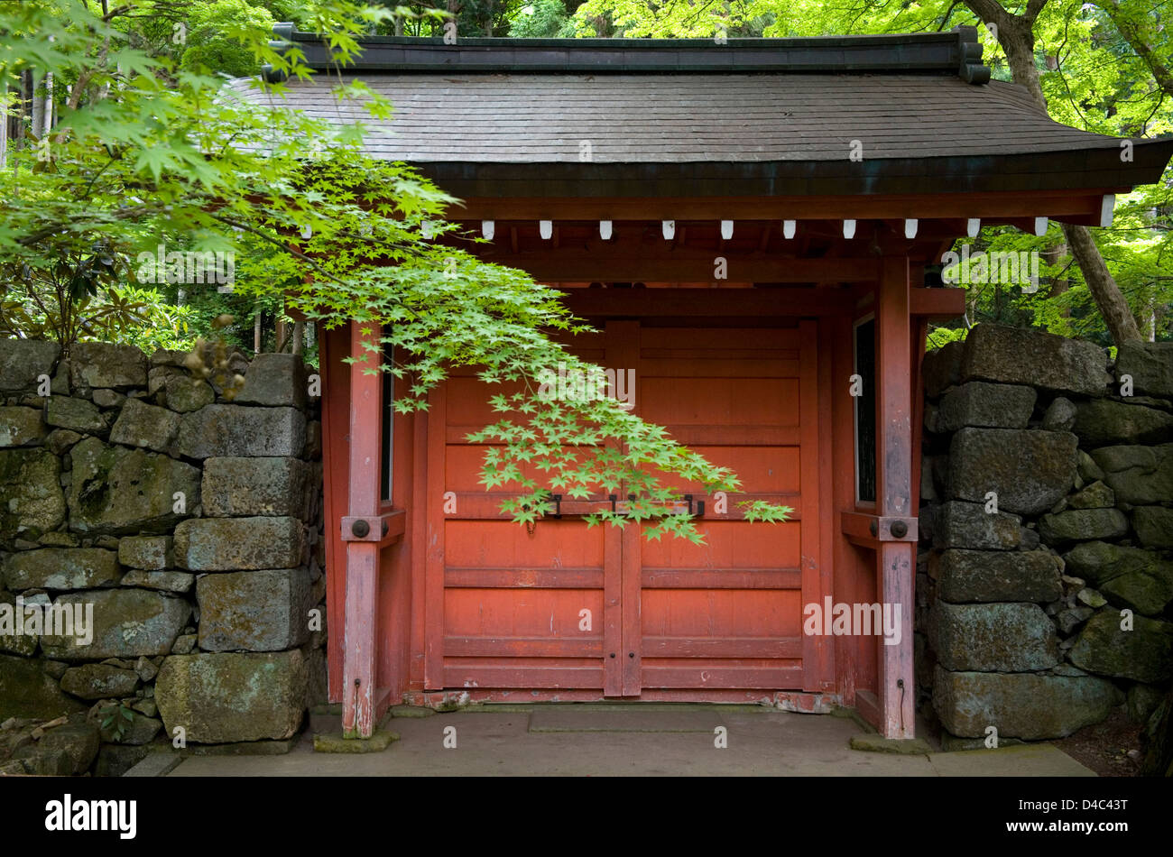 Japanese maple trees surround the vermilion Suzakumon Gate at the Tendai sect Sanzenin Temple in Ohara, Kyoto, Japan. Stock Photo
