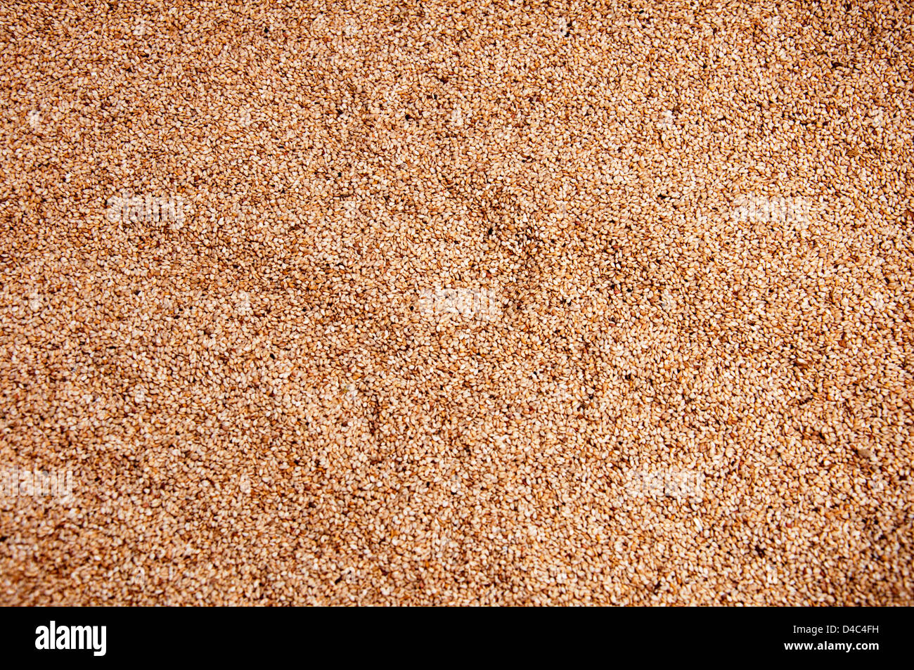 Highdefinition closeup of sesame Stock Photo Alamy