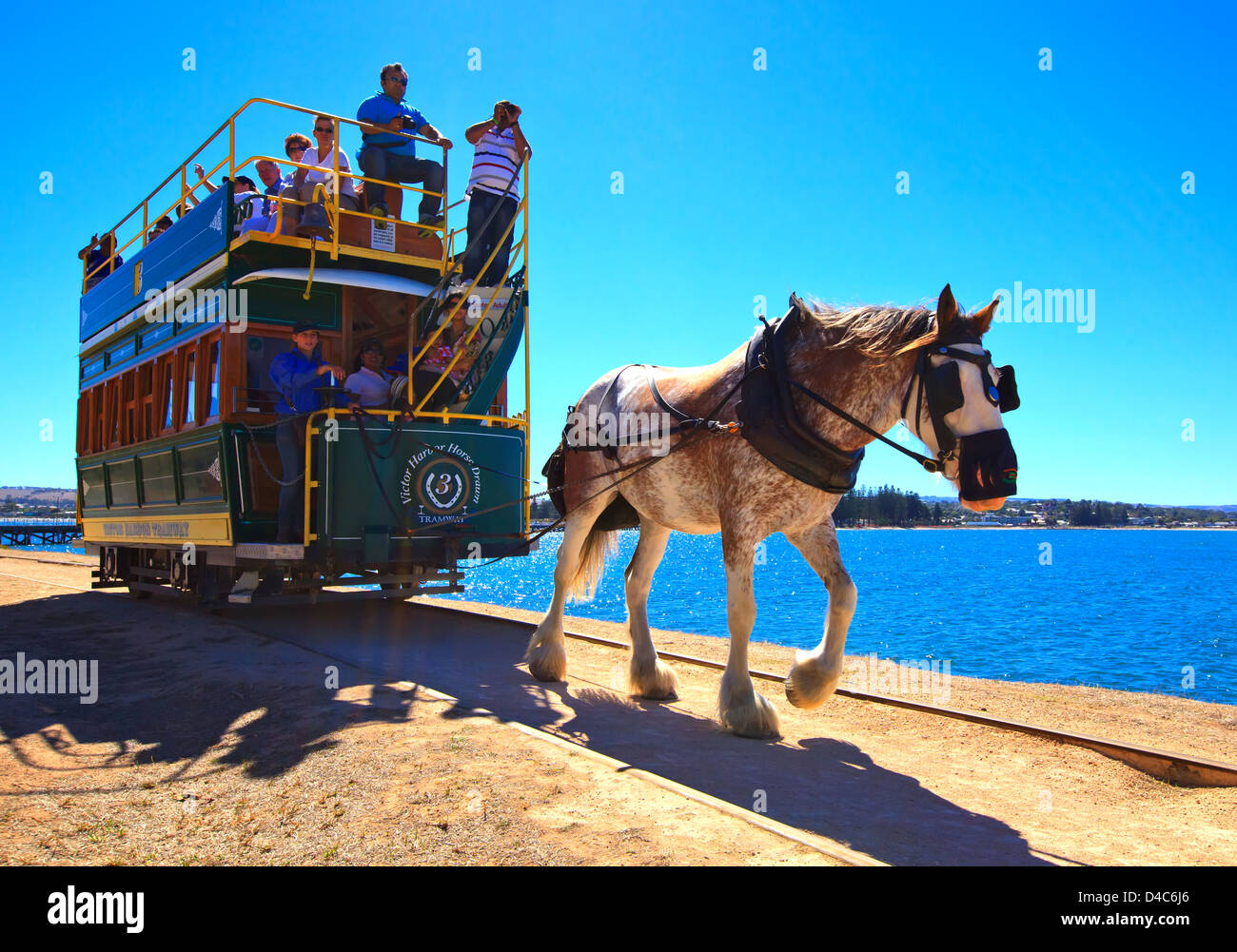 Granite Island Horse Drawn Tram At Victor Harbor On The Fleurieu granite-island-horse-drawn-tram-at-victor-harbor-on-the-fleurieu