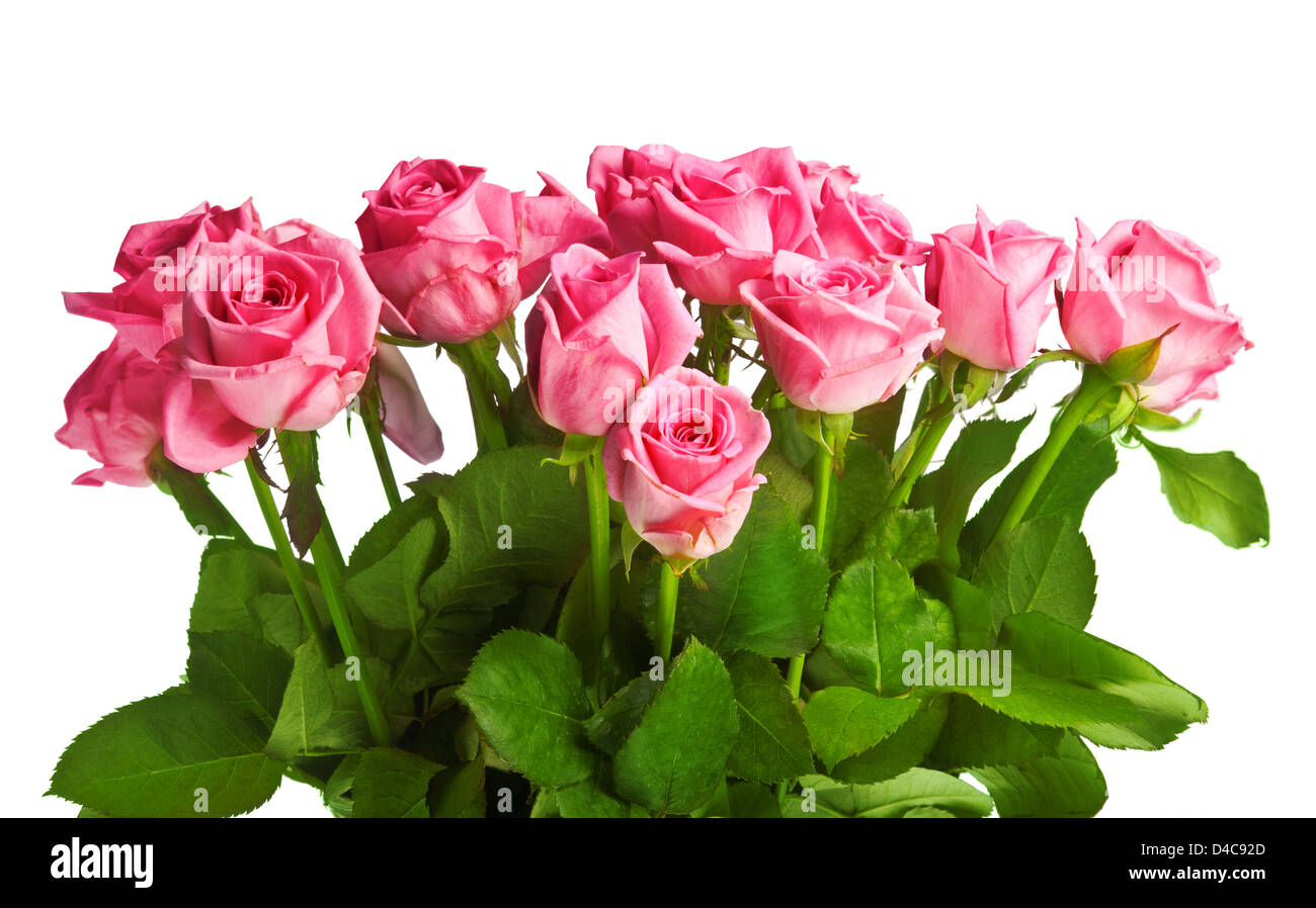 bouquet of red roses isolated on white background Stock Photo - Alamy
