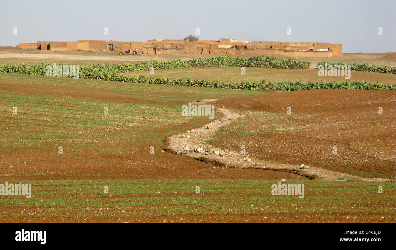 The picture shows agricultural fields north of Marrakech, Morocco, 17 ...