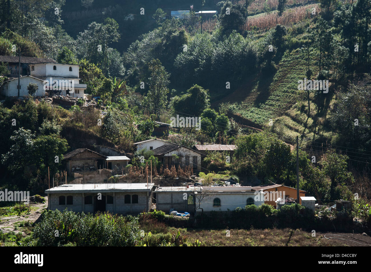 Guatemala, Small Farm Holdings Stock Photo Alamy