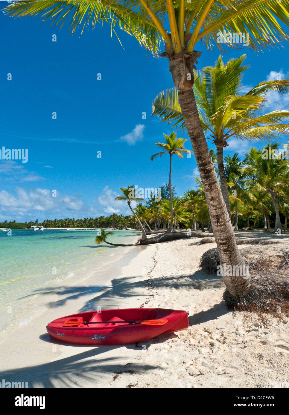 Playa Bavaro, Punta Cana, Dominican Republic, the Caribbean, America Stock Photo