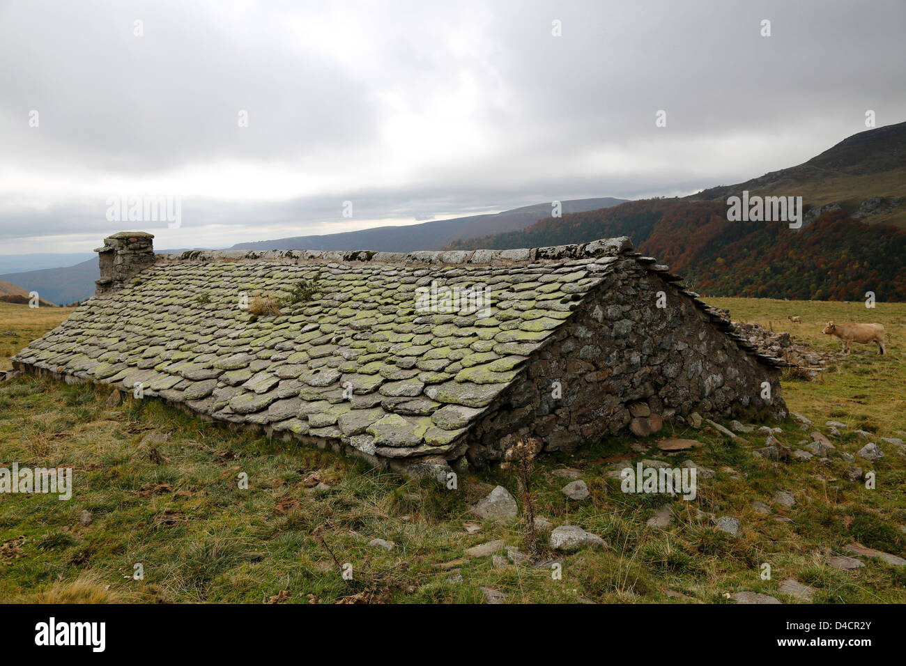 Stone house in a natural preserve in Cantal, Auvergne, France Stock Photo