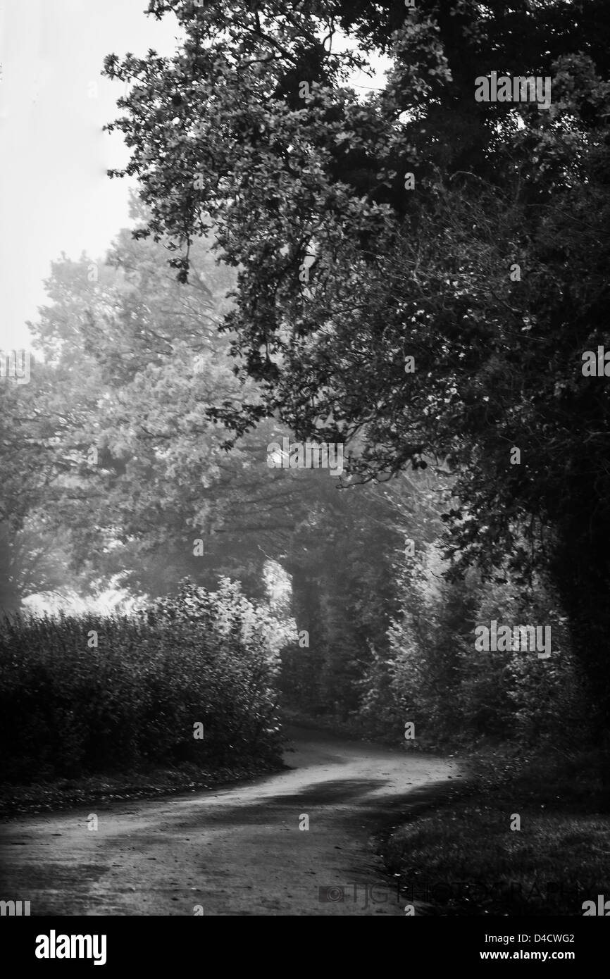 Country lane in Black and White Stock Photo Alamy