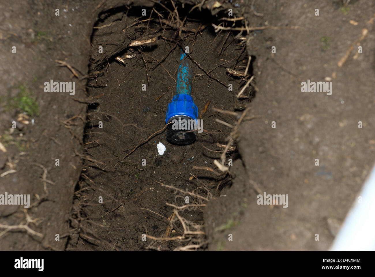 A blue alkathene water pipe capped off in a trench Stock Photo Alamy