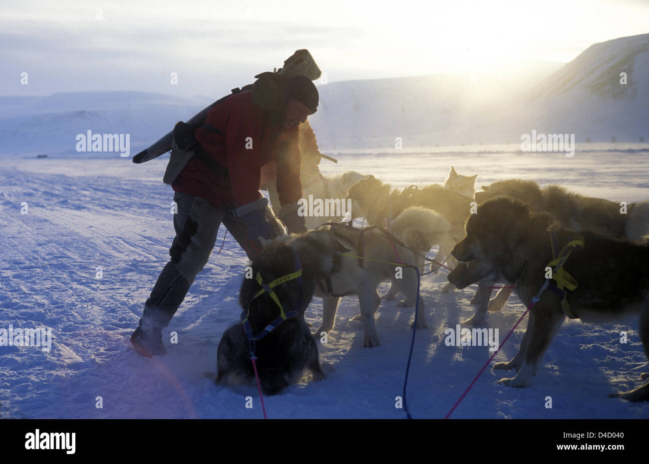 The picture shows a musher with his dogs on island group Spitsbergen