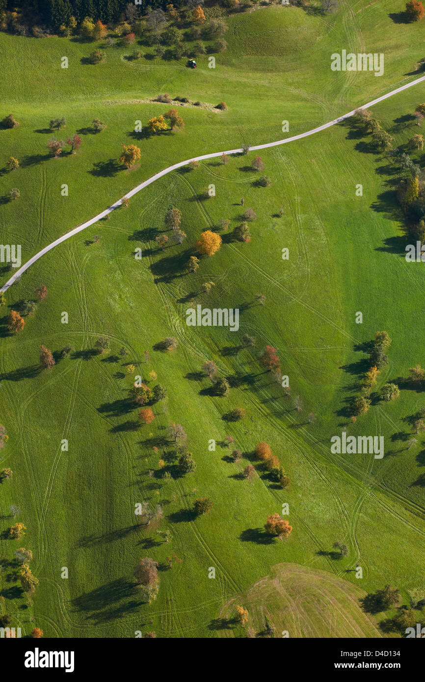 Rolling meadows with trees, aerial photo Stock Photo Alamy