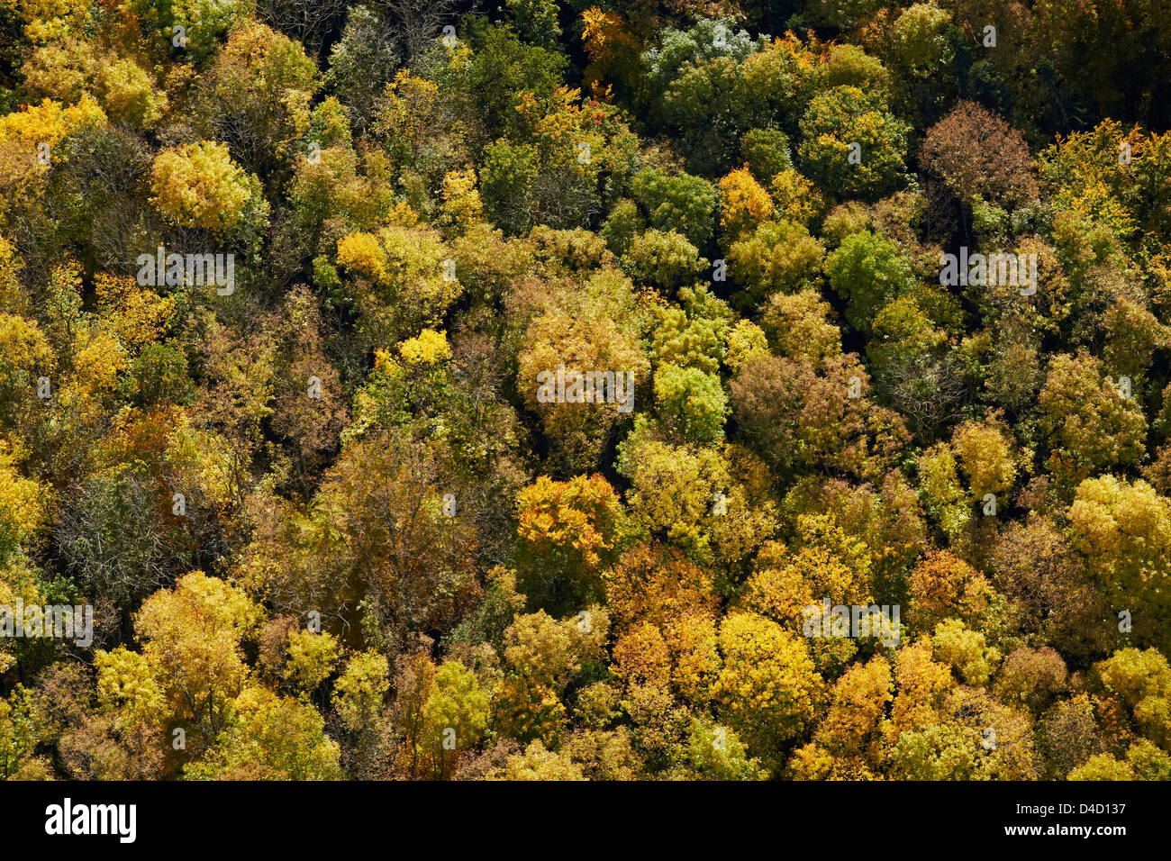 Aerial photo forest hi-res stock photography and images - Alamy