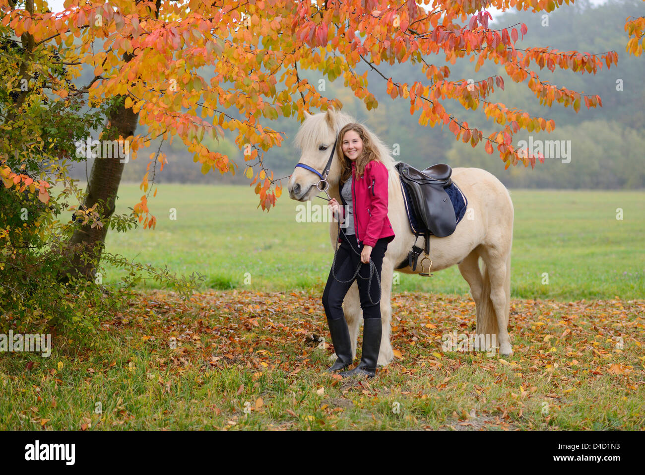 Teenage girl with horse Stock Photo - Alamy