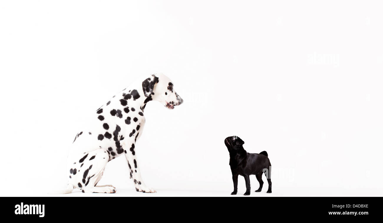 Other image Cut Out Stock Images Pictures Alamy