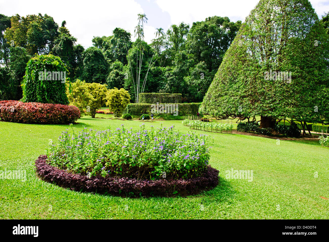 Royal Botanic Gardens,established in 1843 with plants brought from Kew Garden, Slave Island,Colombo,Peradeniya,Sri Lanka,Ceylon Stock Photo