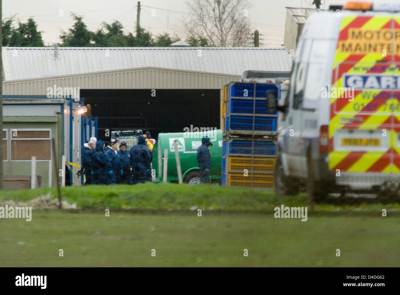 Bird Flu Outbreak in Suffolk, The Grange Farm, Redgrave, Poultry being culled as a precautionary