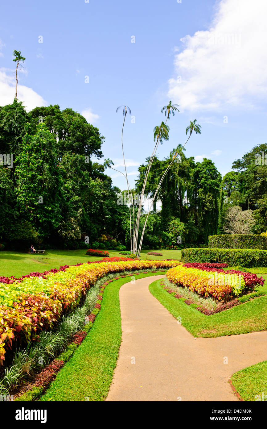 Royal Botanic Gardens,established in 1843 with plants brought from Kew Garden, Slave Island,Colombo,Peradeniya,Sri Lanka,Ceylon Stock Photo