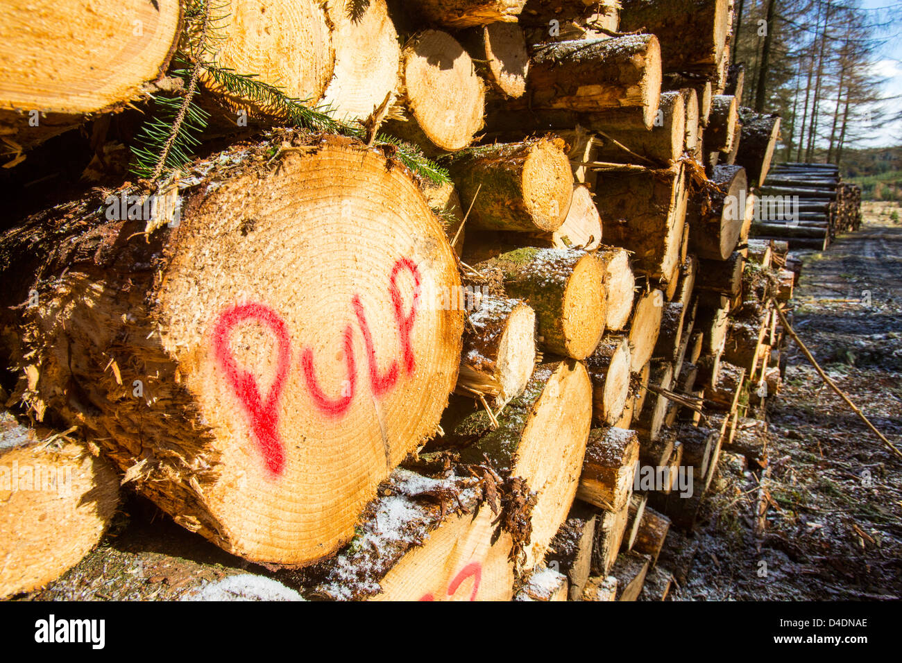 Wood pulp paper hires stock photography and images Alamy