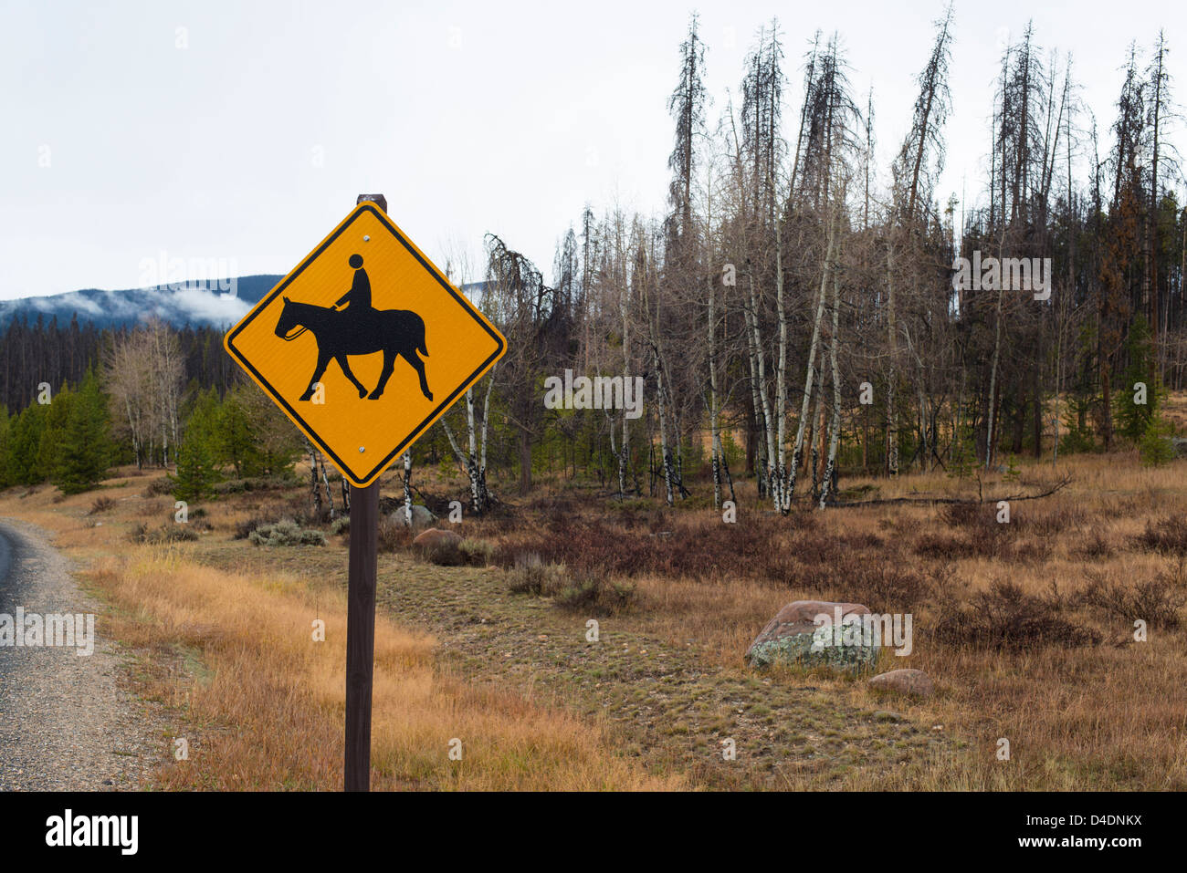 Horse rider warning sign hi-res stock photography and images - Alamy