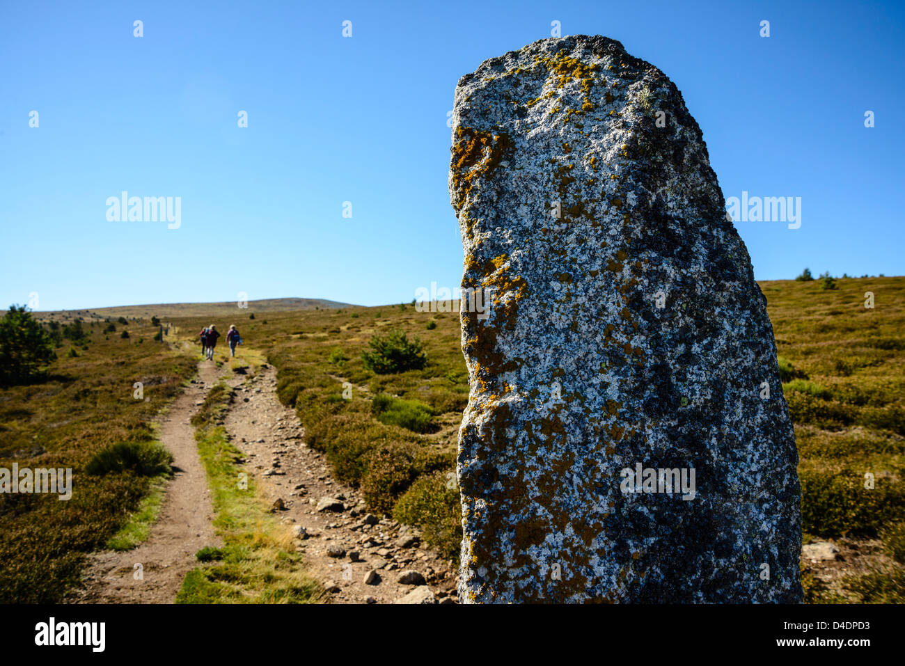 Granite pillars called montjoies mark the route of the Robert Louis Stevenson Trail ascending Mont Lozère in the Cévennes France Stock Photo