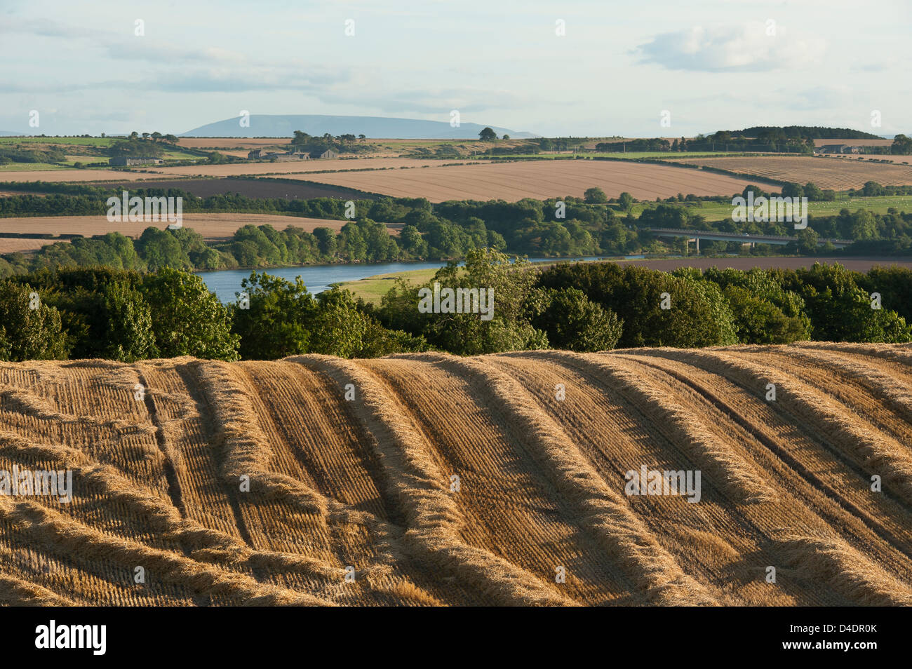 Beautiful view of a freshly harvested crop field in the English countryside. Stock Photo