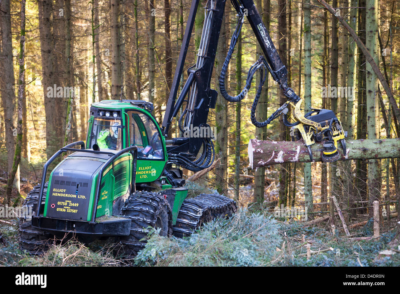 A forwarder and operator cutting timber in Grizedale Forest, Lake District, UK, that is destined to be used as biofuel Stock Photo