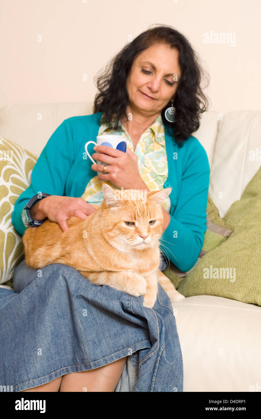 Middle Aged Woman Stroking a Large Ginger Cat on her Lap Stock Photo - Alamy