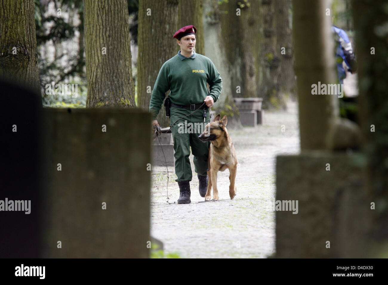 A police officer with tracking dog pictured at the Jewish cemetery in the Weissensee borough of Berlin, Germany, 29 April 2008. Yet unidentified people have knocked over some 30 gravestones, authorities investigate on violation of graves and damage to property. Photo: RAINER JENSEN Stock Photo