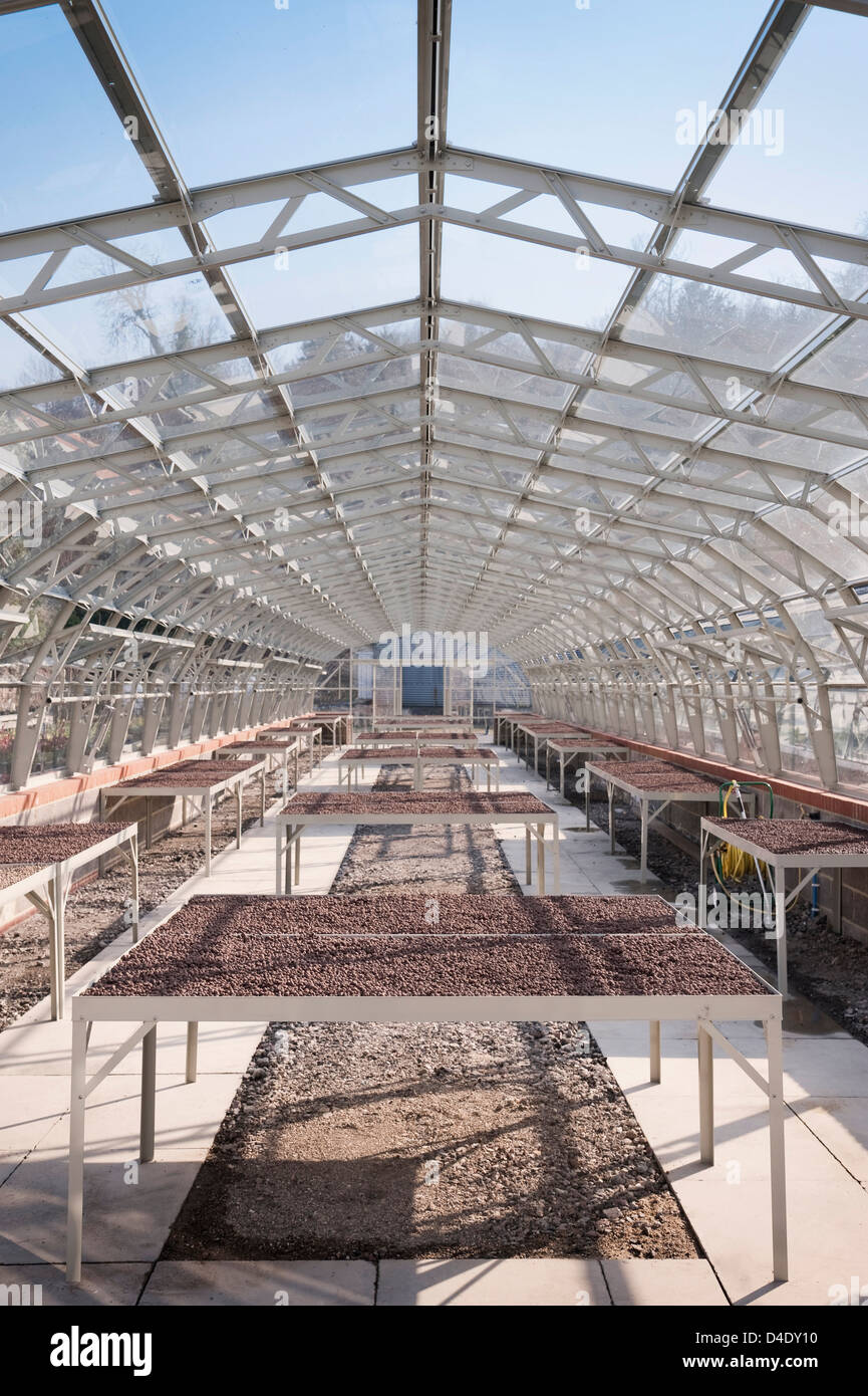 Interior of a large greenhouse with seed trays, UK Stock Photo Alamy
