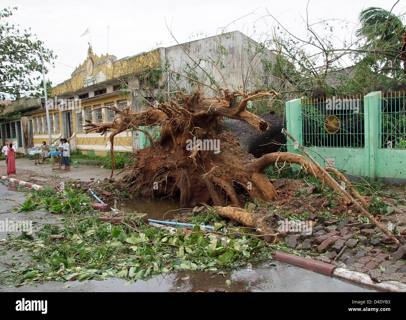 A fallen tree on a street in Yangon, Myanmar, 5 May 2008. International aid has begun after devastating cyclone 'Nargis' hit Myanmar, though the exact situation in the country, which is isolated from the outside world by the military junta, remains unclear. Most traffic routes are blocked, Myanmar's government assumes that more than 15,000 people were killed and hundreds of thousan Stock Photo