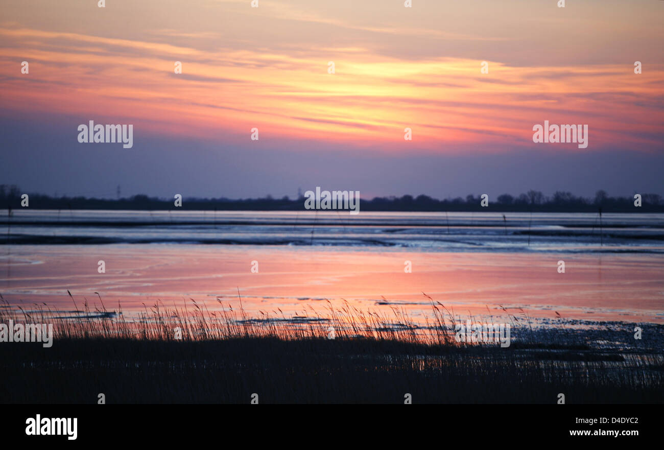 The sun sets behind reed and the Wadden Sea in Dangast, Dollart region, to the south of Wilhelmshaven, Germany, 22 April 2008. Photo: Wolfram Steinberg Stock Photo