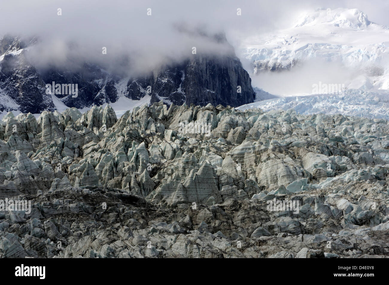 Dirty ice at the bottom of the main western branch of Pia Glacier tumbles into Garibaldi Fjord