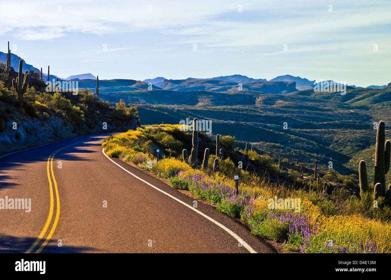 The Apache Trail in the springtime in the Sonoran Desert east of Phoenix, Arizona. USA state route 88. Stock Photo