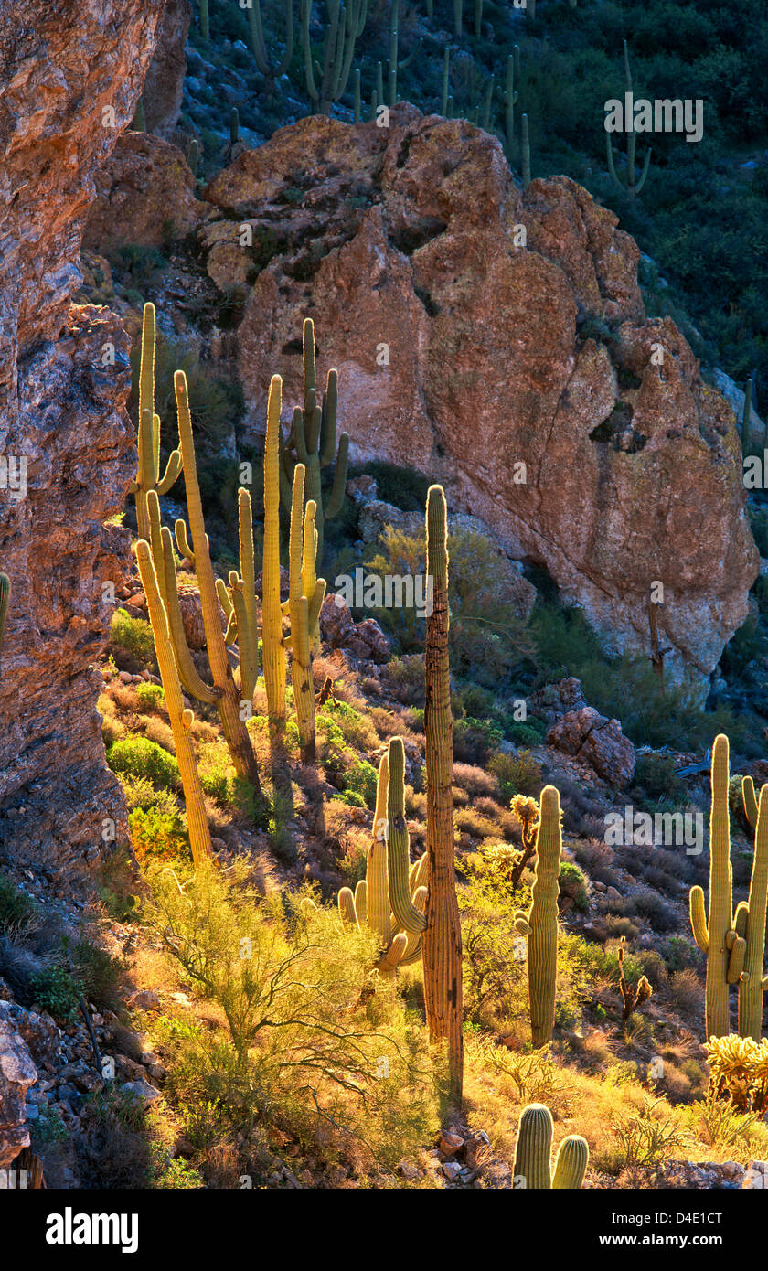 creek canyon hires stock photography and images Alamy