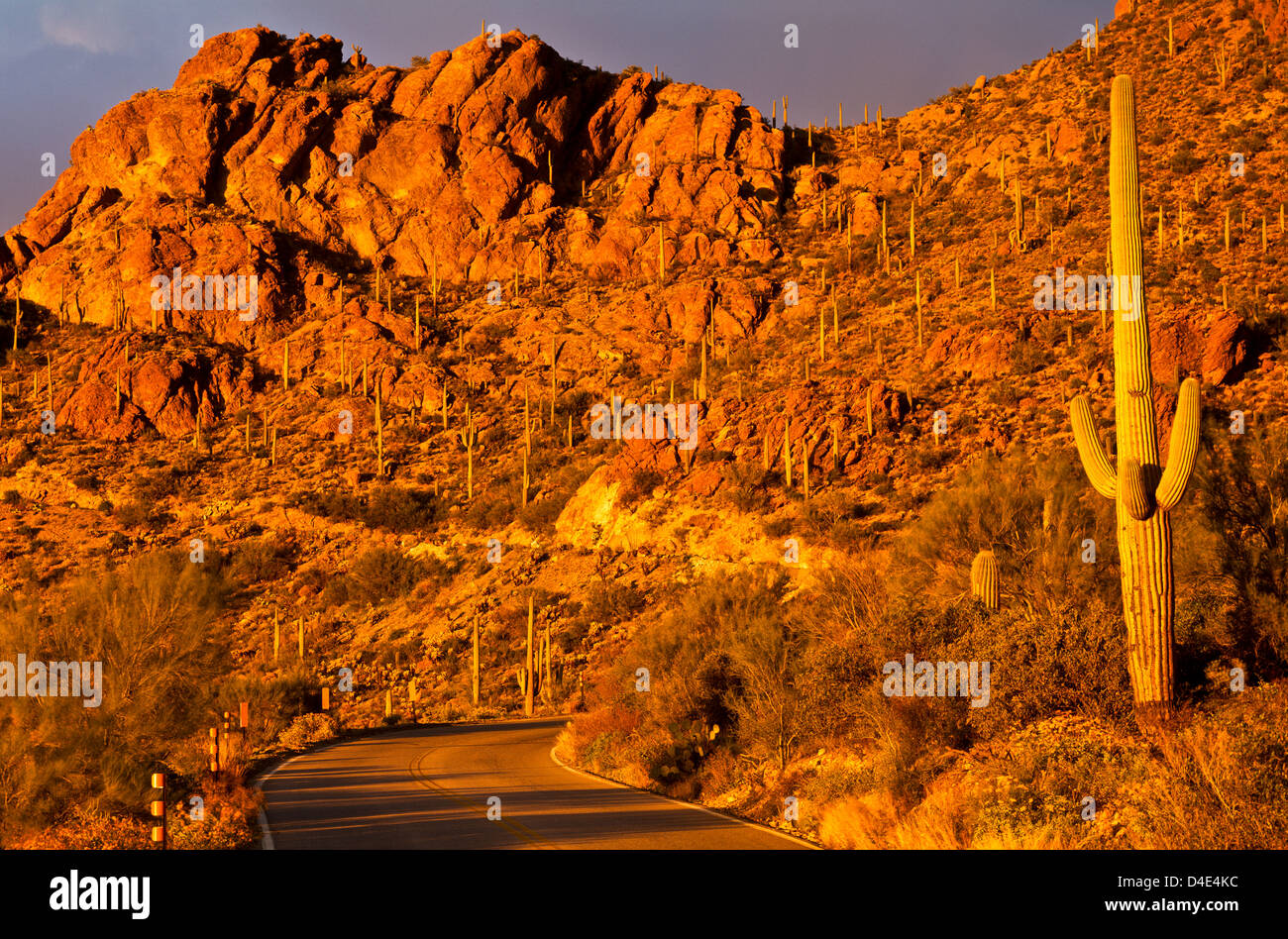 Gates Pass Road west of downtown Tucson at sunset, AZ USA Stock Photo