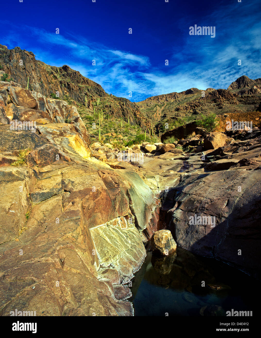 Native American Petroglyphs on stones near this pool of water, Superstition Mountains near Phoenix, AZ. Pinal County. USA Stock Photo