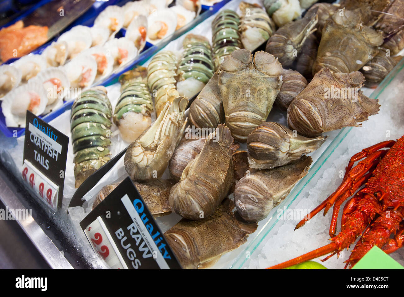 Fresh seafood for sale in the Queen Victoria Market. Melbourne, Victoria, Australia Stock Photo