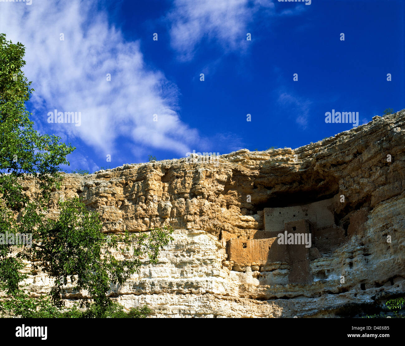 Montezumas Castle National Monument in the Verde Valley near Camp Verde, AZ. USA Stock Photo
