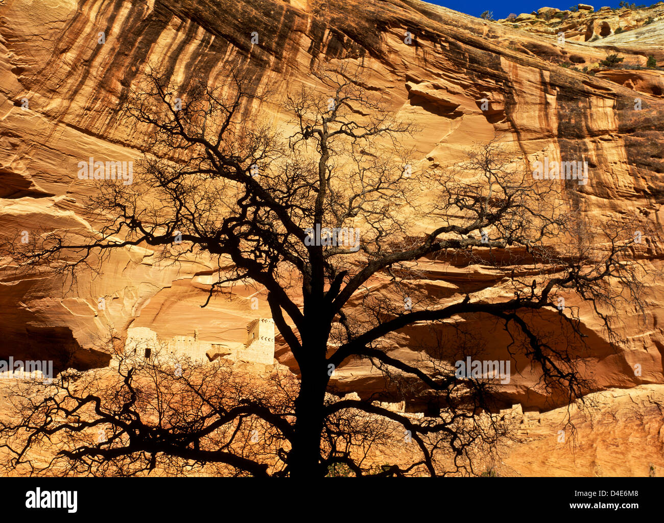 Mummy Cave Ruin, Canyon De Chelly, Arizona. Navajo Nation, Apache County. USA. Stock Photo