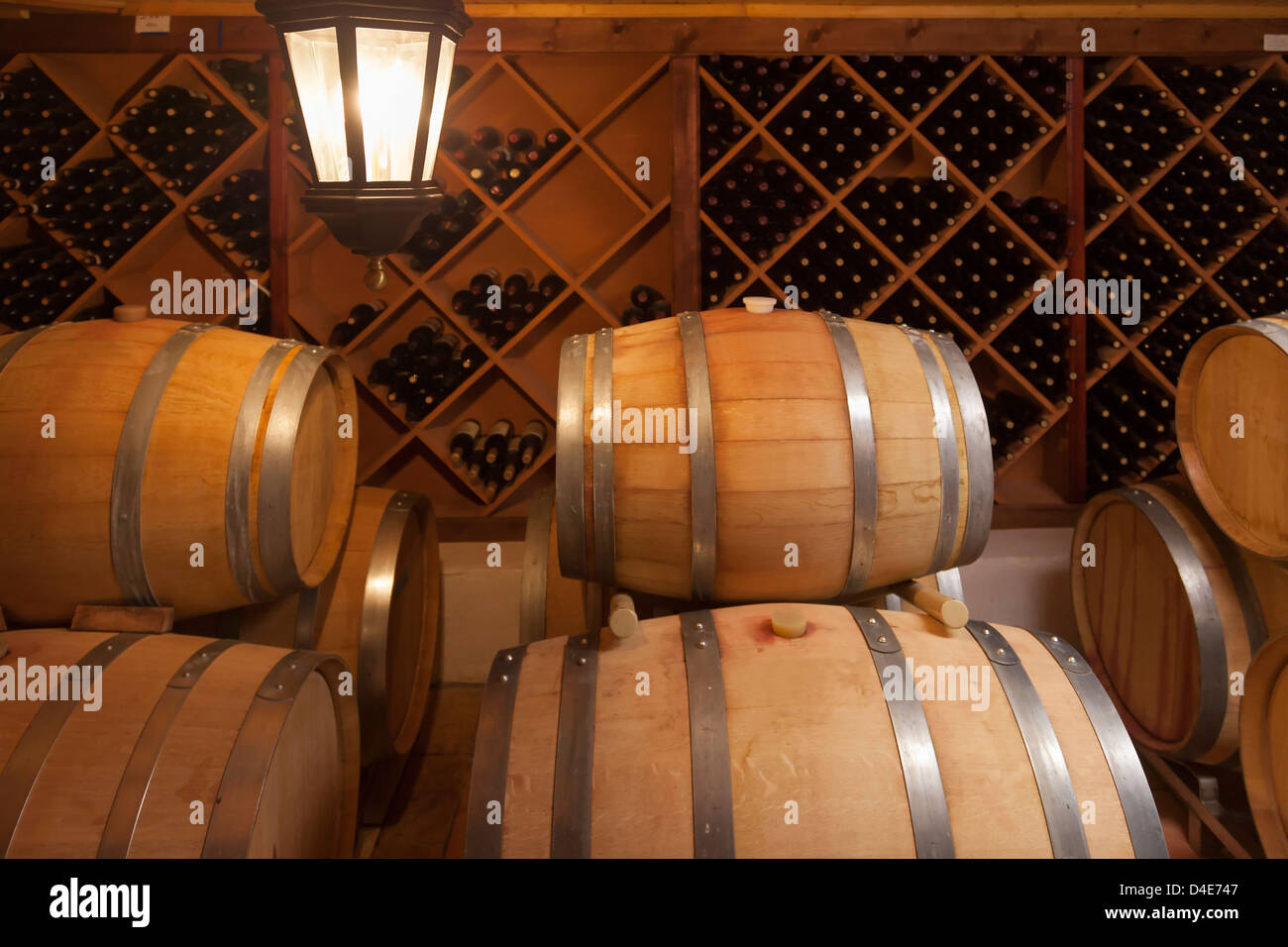 Wine Barrels and Bottles in Dimly Lit Cellar Stock Photo Alamy