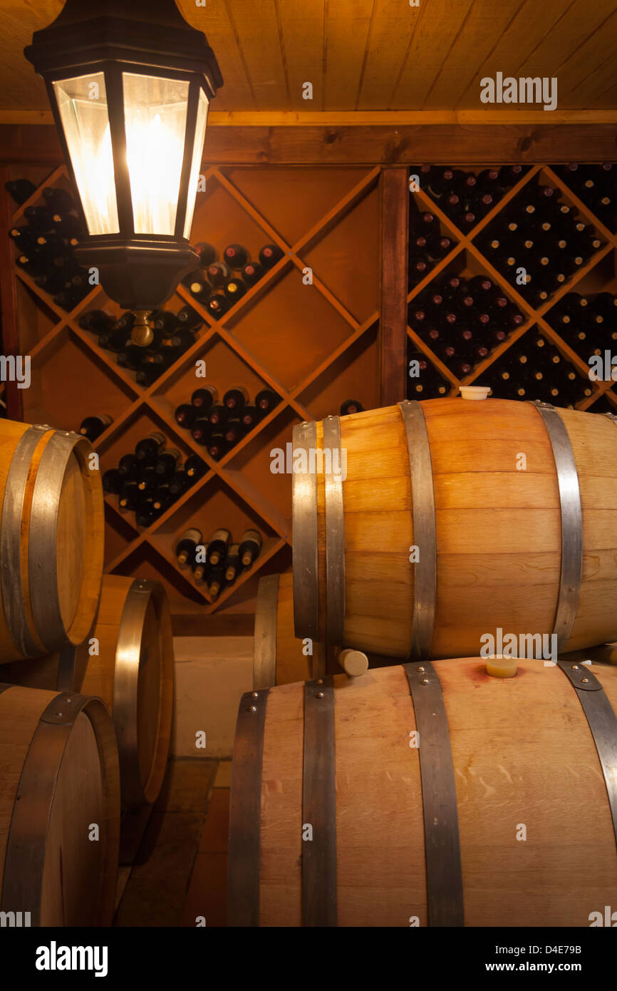 Wine Barrels and Bottles in Dimly Lit Cellar Stock Photo Alamy